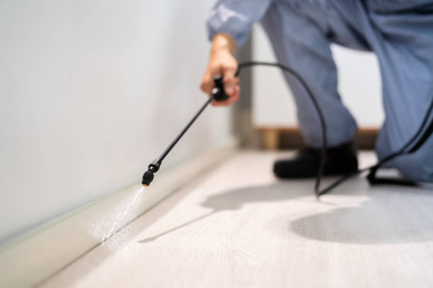 Licensed Pest Control service in Hicksville, NY - Show Me Pest Control