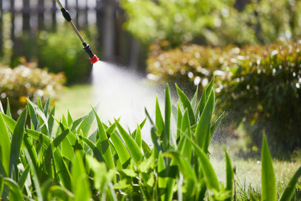 24/7 Emergency Mosquito Control experts in Hicksville, NY
