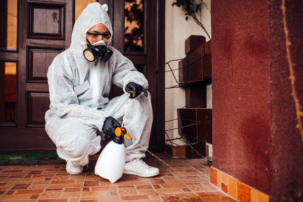 Reliable Mosquito Control contractor in Hicksville, NY by Show Me Pest Control